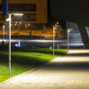 Grace - Image 6