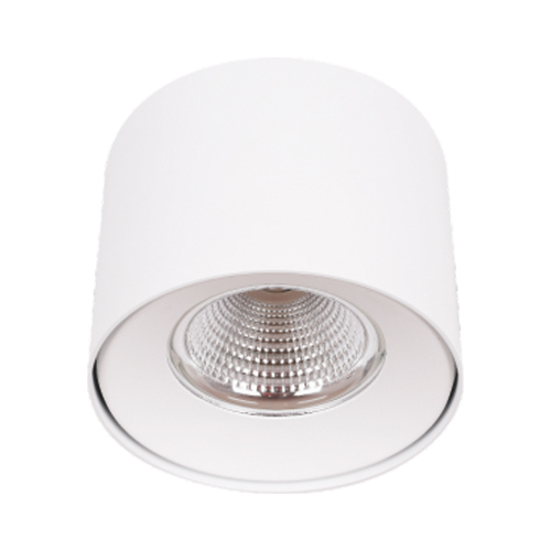 Surface Pendant Downlights Series